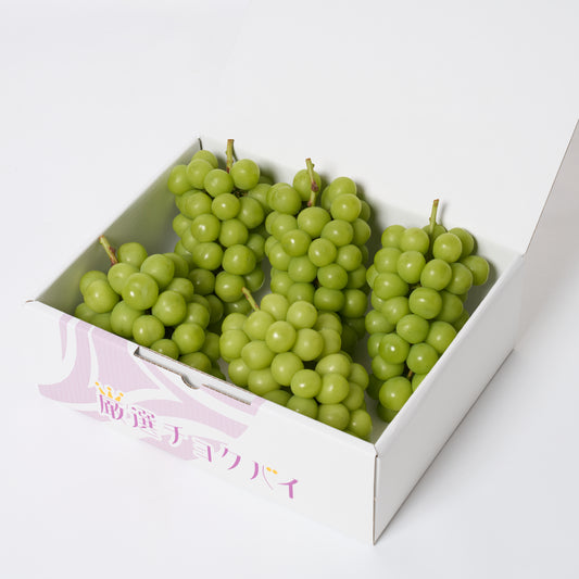 【生原農園】シャインマスカット3kg 2