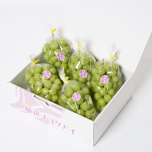 【生原農園】シャインマスカット3kgの商品画像