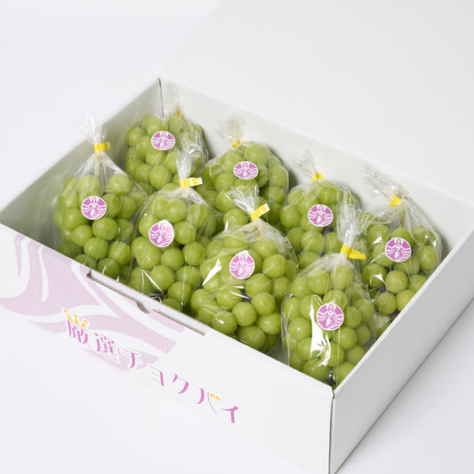 【生原農園】シャインマスカット5kgの商品画像