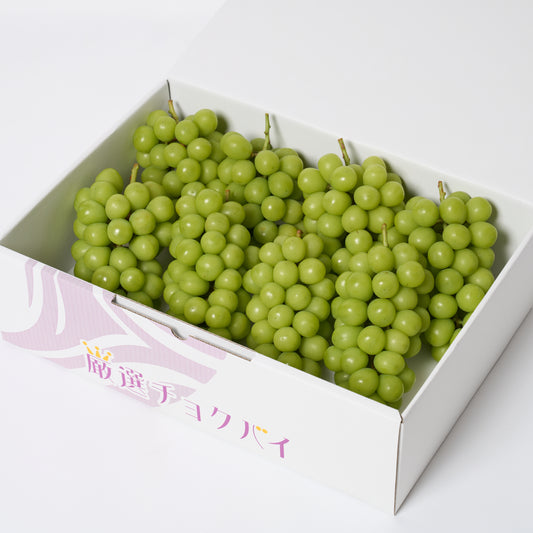 【生原農園】シャインマスカット5kgの商品画像2